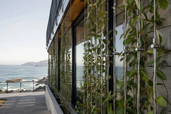 cable trellis hardware for commercial facade specification