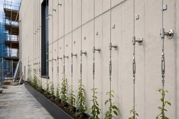 project information for cable systems for large green wall projects