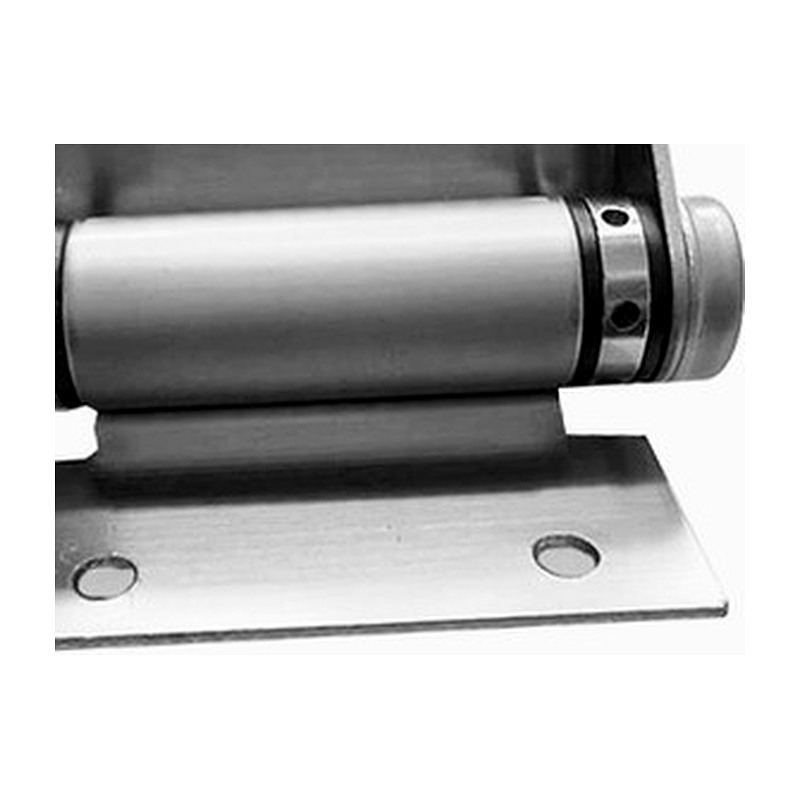 Barrel Door Hinge with Mounting Plates
